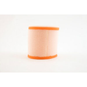 Alternative view of Twin Air Filter