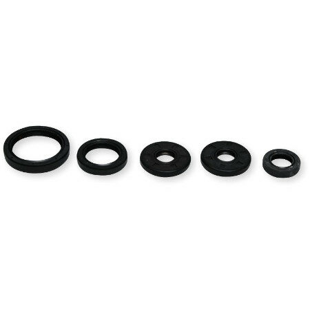 Athena Oil Seal Kit