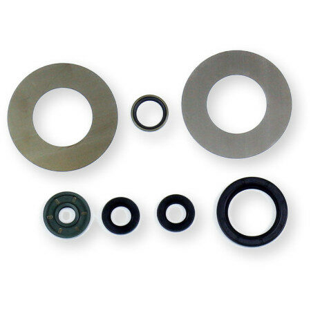 Athena Oil Seal Kit