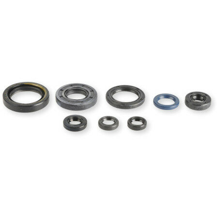 Athena Oil Seal Kit