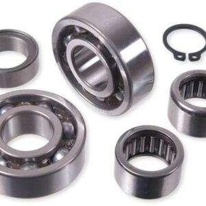 Hot Rods Transmission Bearing Kit KTM