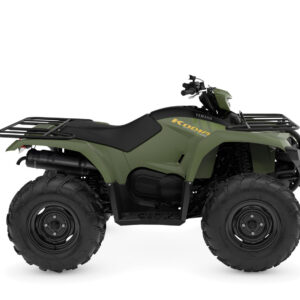 Alternative view of Kodiak 450 EPS