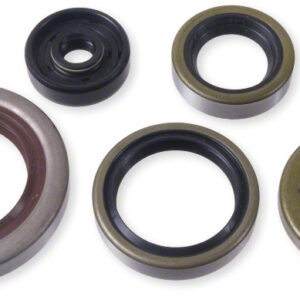 Vertex Oil Seal Kit