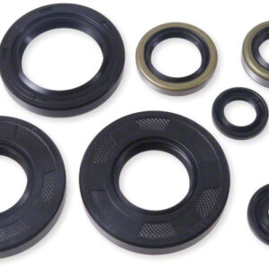 Vertex Oil Seal Kit