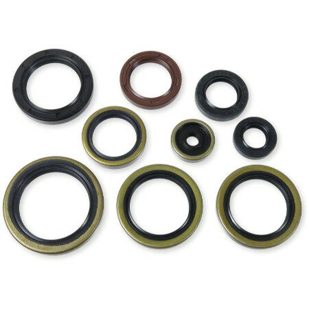 Athena Oil Seal Kit