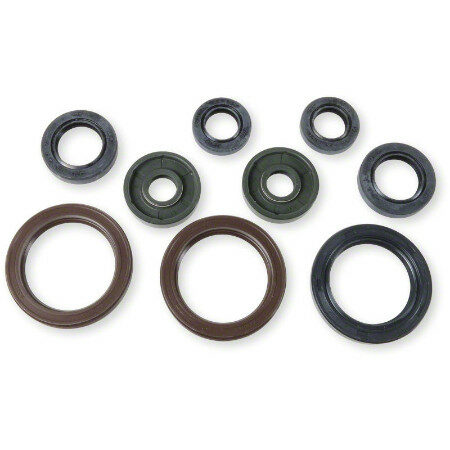 Athena Oil Seal Kit