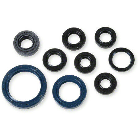 Athena Oil Seal Kit