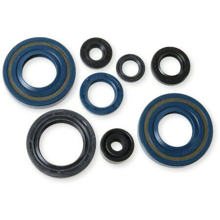 Athena Oil Seal Kit