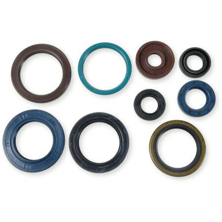 Athena Oil Seal Kit